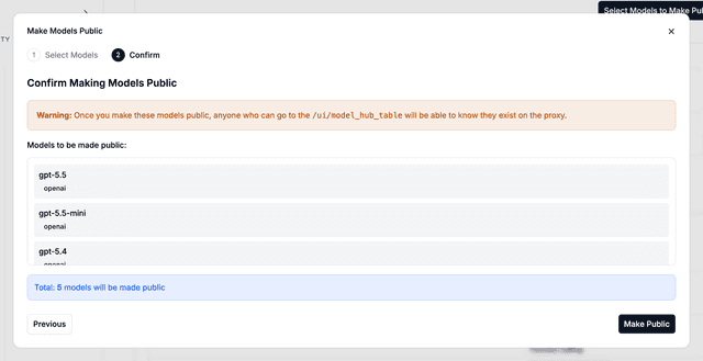 Confirmation step listing the models that will be made public